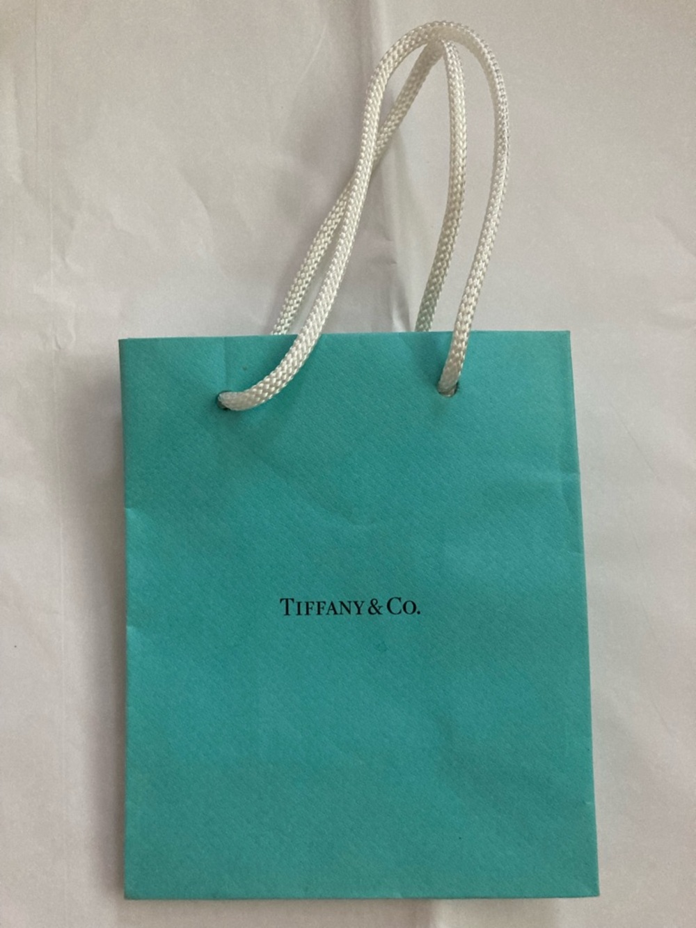 Tiffany & Co. Robin's Egg Blue Paper Gift Bag with White Rope Handles